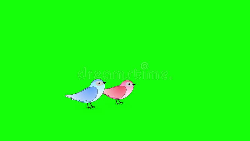 Duas aves de desenho animado voam dentro e tocam em tela verde