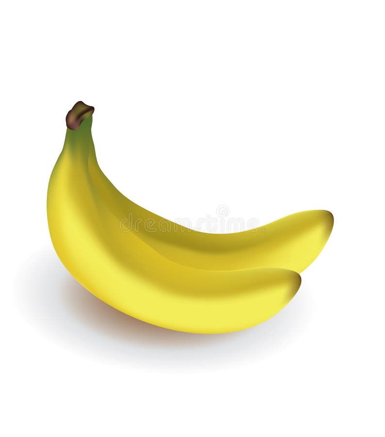Duas bananas no fundo branco ilustração do vetor Duas bananas no fundo branco ilustração do vetor