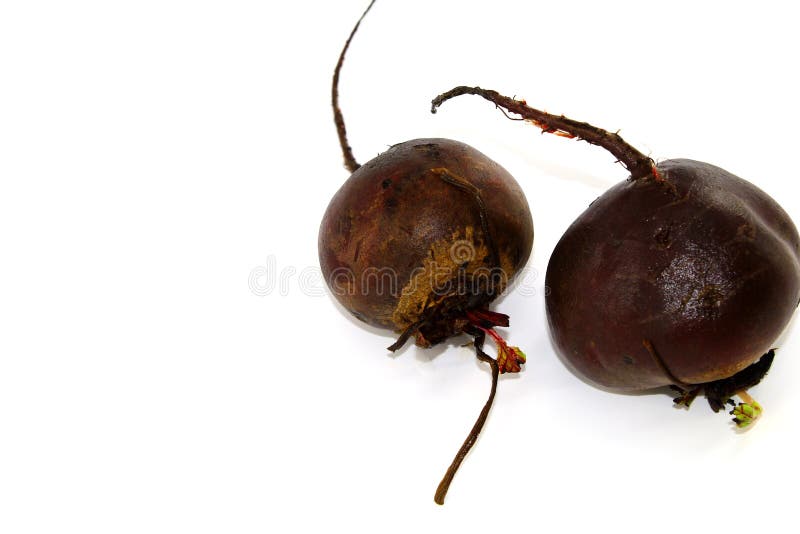 Duas beterrabas lavadas com água, não tratada em um fundo branco imagens de stock Duas beterrabas lavadas com água, não tratada em um fundo branco imagens de stock