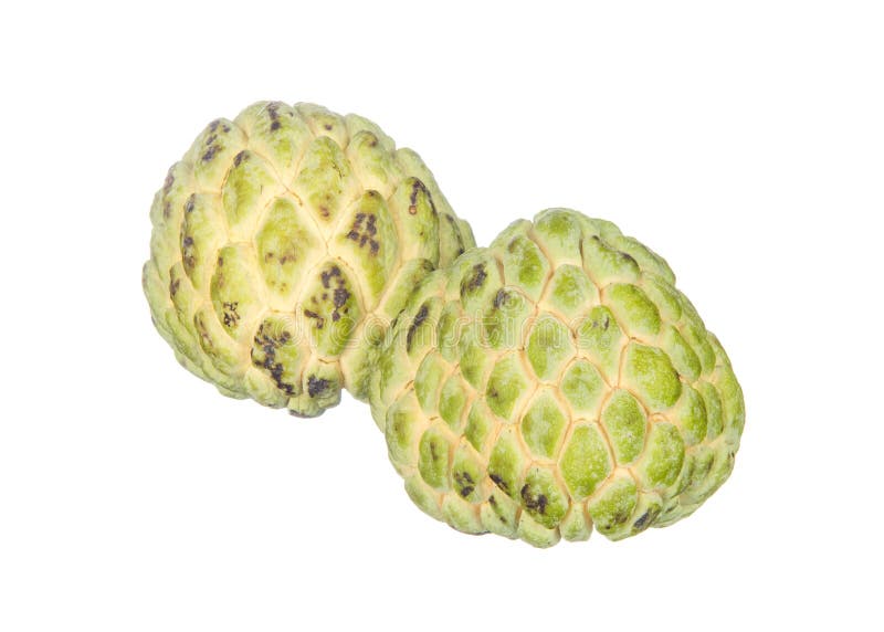 Duas maçãs de creme isoladas no branco fotos de stock Duas maçãs de creme isoladas no branco fotos de stock