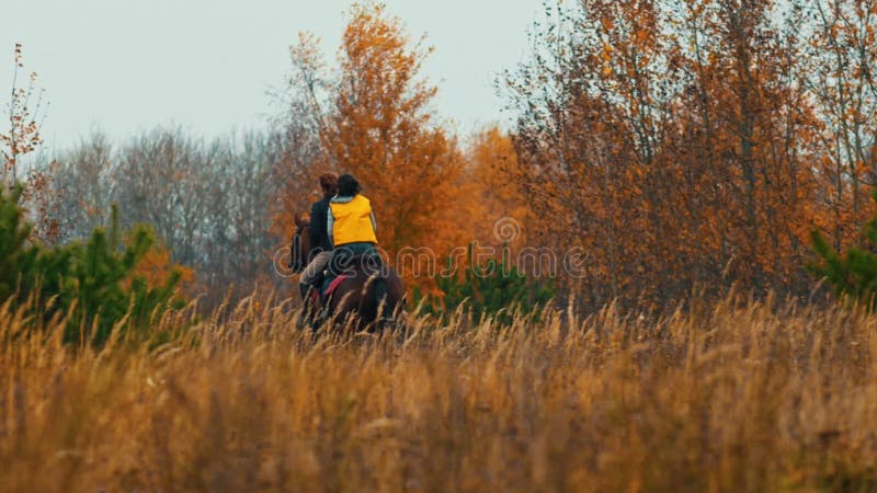 Duas mulheres andando a cavalo na natureza do outono - indo para a floresta