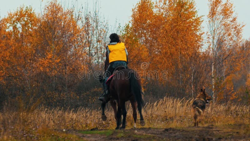 Duas mulheres andando a cavalo na natureza do outono - um cão a segui-las