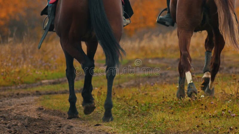 Duas mulheres andando a cavalo no campo de outono