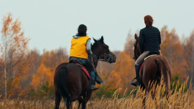 Duas mulheres andando a cavalo no campo de outono - um cão a segui-las