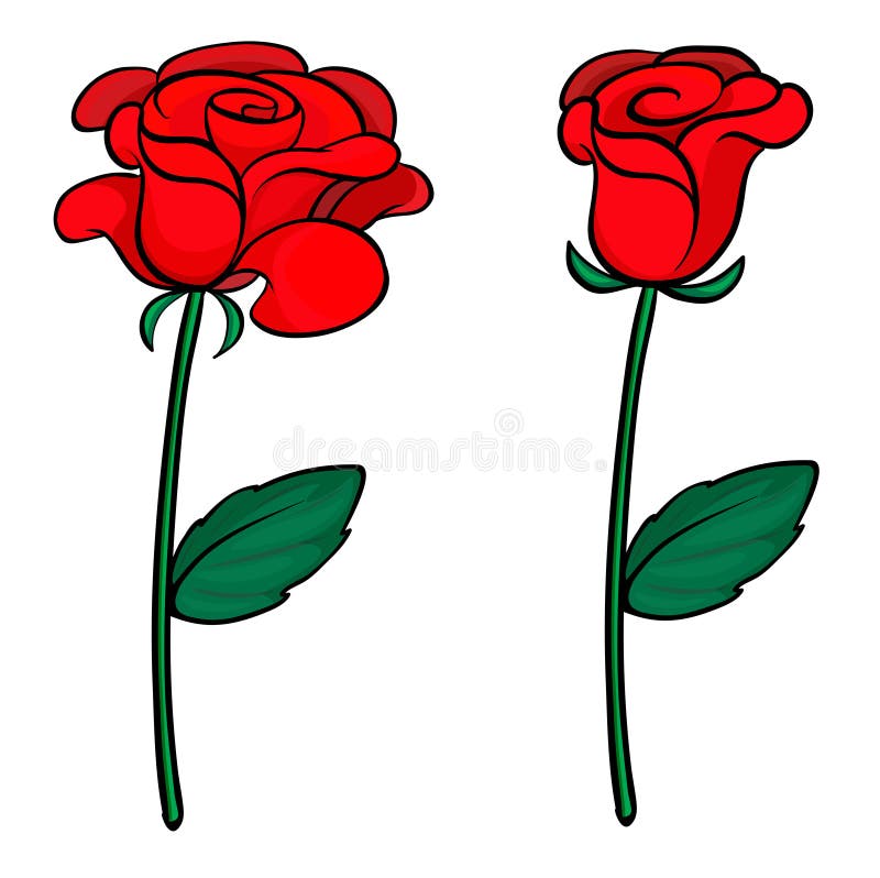 Duas rosas vermelhas ilustração do vetor Duas rosas vermelhas ilustração do vetor