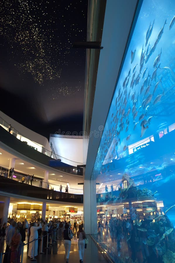 Dubai Aquarium at Dubaimall Editorial Photography Image of reef, interior 21415597