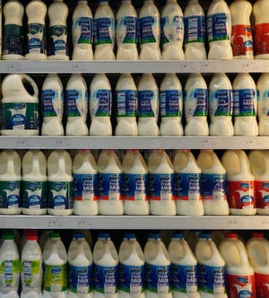 Almarai Fresh Milk Shelf Life Deals Discounted Www oceanproperty co th