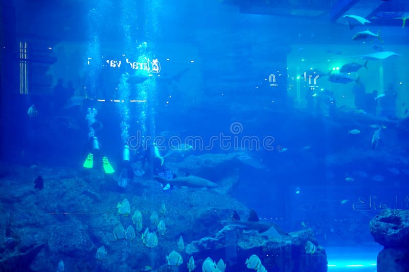 Dubai, UAE March,18,2023 Huge Aquarium with Fish in the Dubai Mall