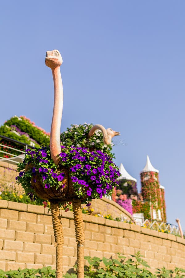 Dubai,UAE Nov 17 2017 Miracle Garden in Dubai UAE Editorial Stock