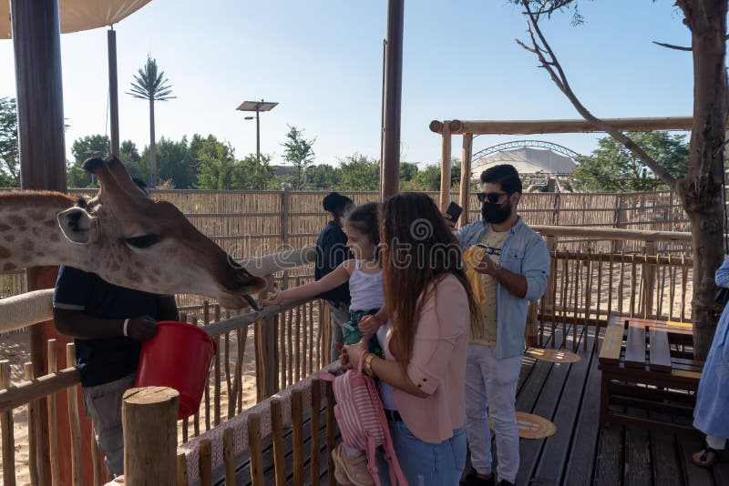 dubai safari park animal feeding