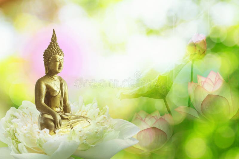 dubbel exponering av lotusblommablomman eller näckrons och framsidan av den buddha statyn royaltyfri foto dubbel exponering av lotusblommablomman eller näckrons och framsidan av den buddha statyn royaltyfri foto