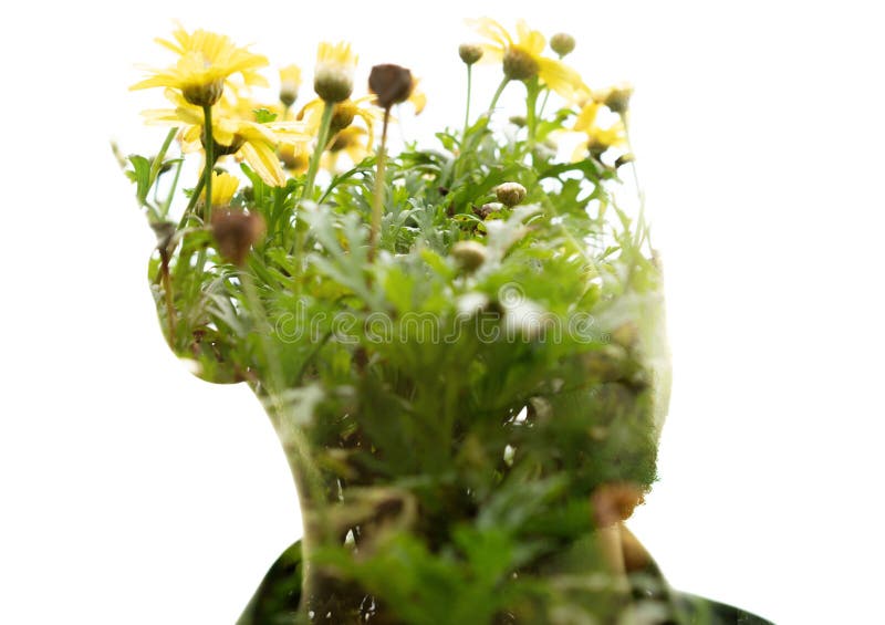 Dubbel exponering av personer med huvud med vibrerande gula blommor arkivbild