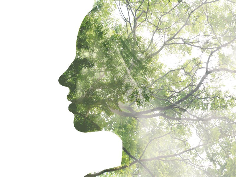 Double exposure portrait of attractive lady combined with photograph of tree. Be creative!. Double exposure portrait of attractive lady combined with photograph of tree. Be creative!