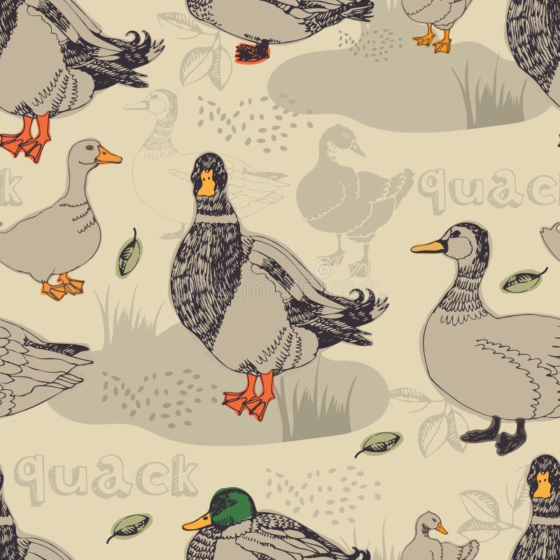 Duck background vector illustration