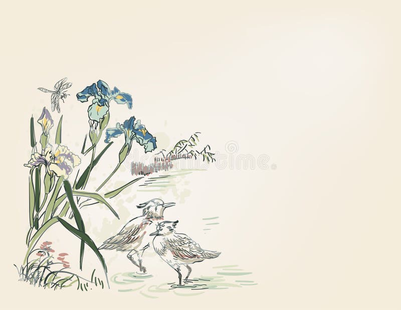 Duck bird iris flower natura krajobraz widok wektor szkic ilustracja japońska chińska karta graficzna tło ilustracja wektor