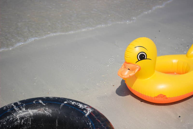 Duck and black life rings. stock photo Duck and black life rings. stock photo