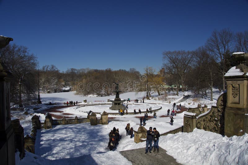 Duck Central Park, New York, neve ed inverno immagine stock libera da diritti Duck Central Park, New York, neve ed inverno immagine stock libera da diritti