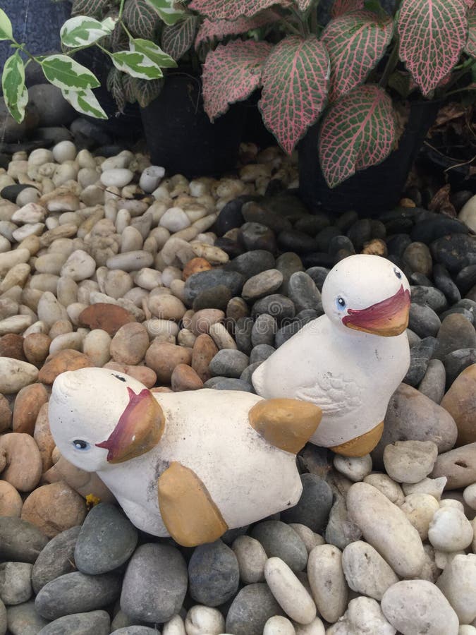 free duck dolls