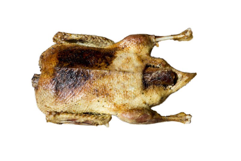 Duck Isolated On White Background rôti image libre de droits Duck Isolated On White Background rôti image libre de droits