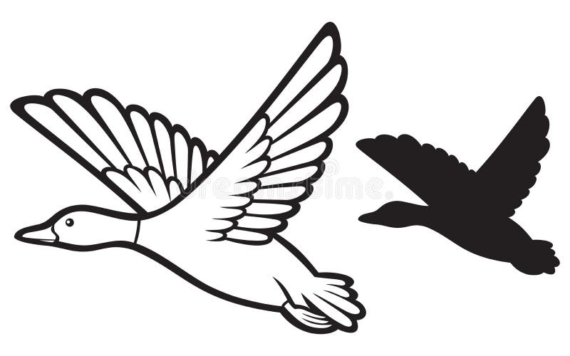 Duck stock illustration