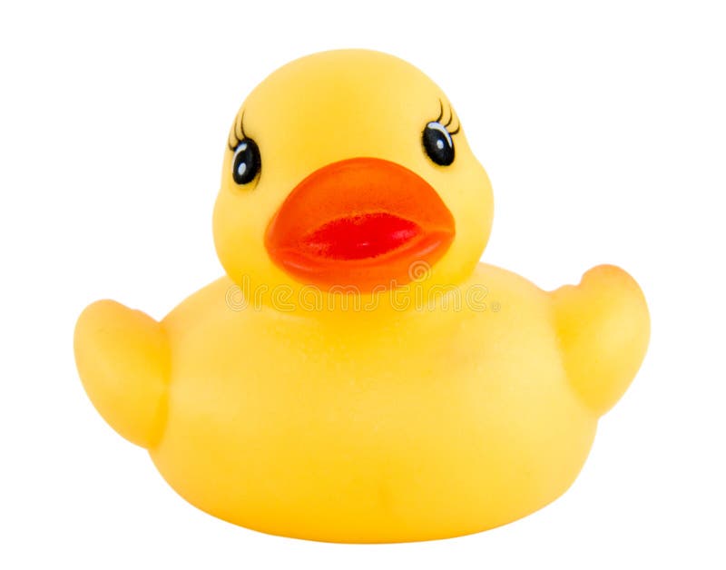 Duck new 3 stock images