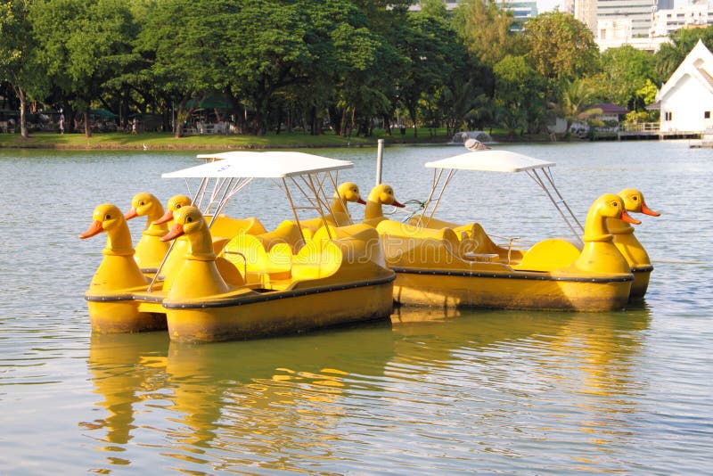 Duck Pedal Boat Stock Photos Image 27553213