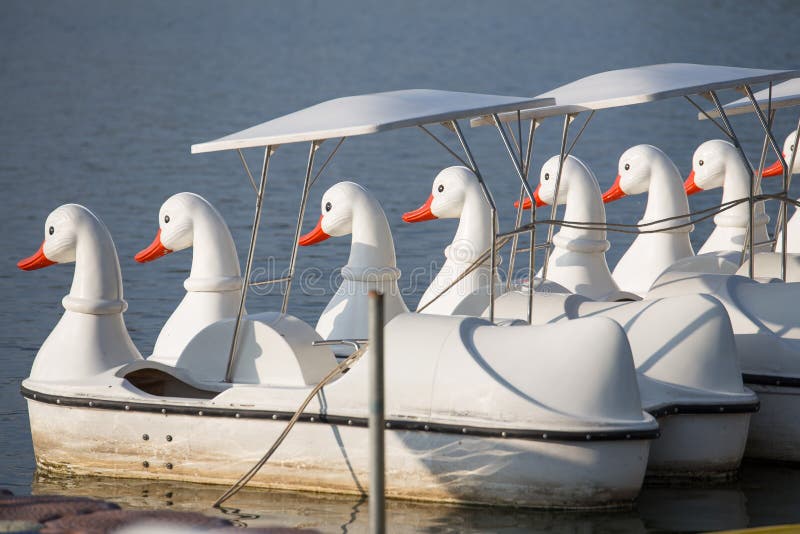 Duck Pedal Boat on the Marsh Stock Image Image of paddle, boats