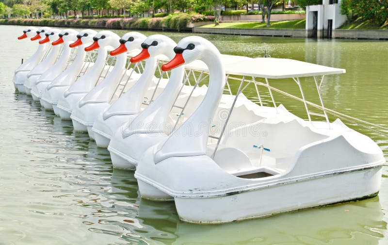 Duck pedal boats stock image. Image of ready, sport, summer 31267325