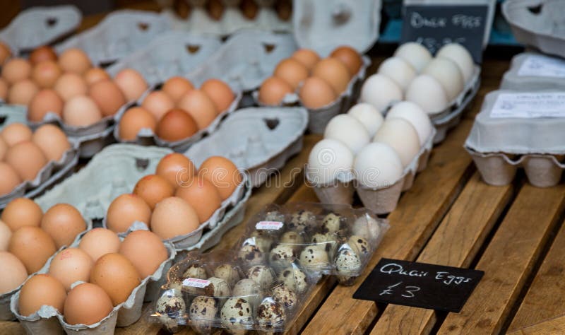 Duck and Quail Eggs in Market Stock Photo - Image of animal, white: 87599028