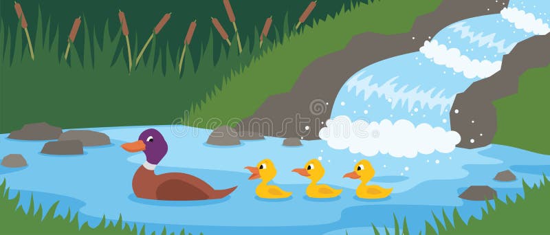 Mother duck is swimming with her three little ducklings near by a forest stream. No transparency and gradients used in the file. Mother duck is swimming with her three little ducklings near by a forest stream. No transparency and gradients used in the file.