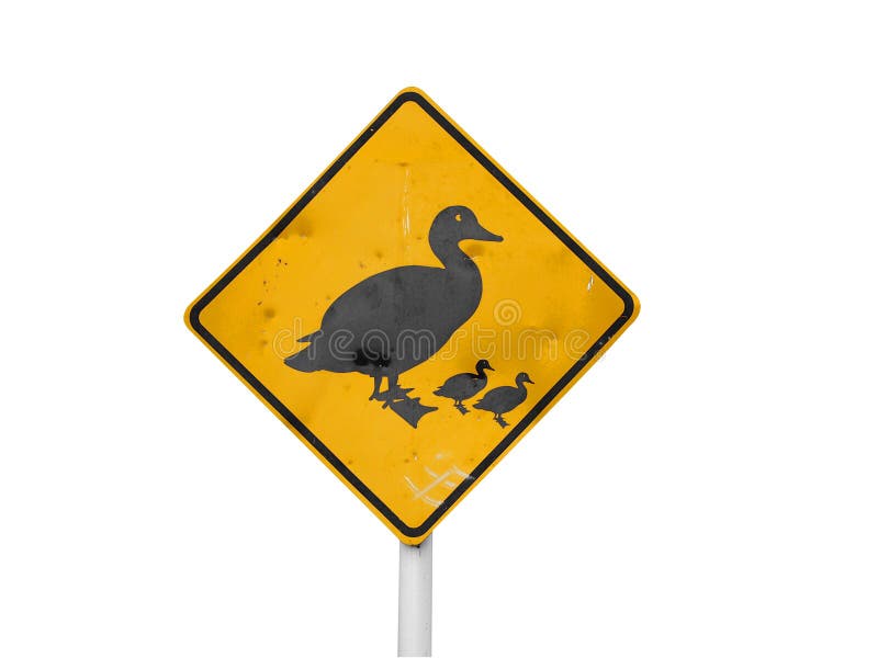 Ducks Crossing Sign stock photo