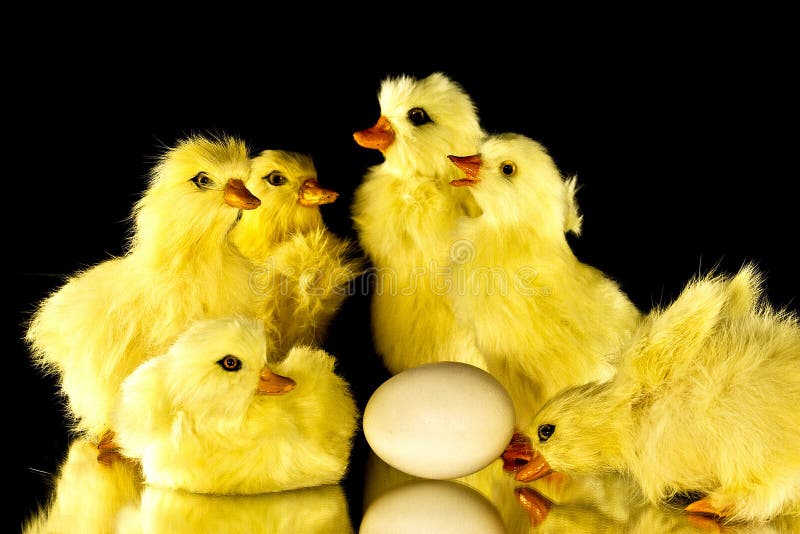 Ducks egg stock photo. Image of chick, duck, spring, wild 791486