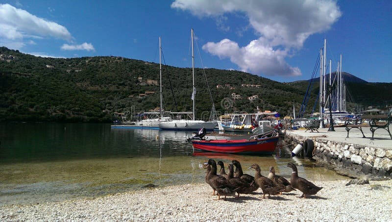 Ducks in Sivota bay