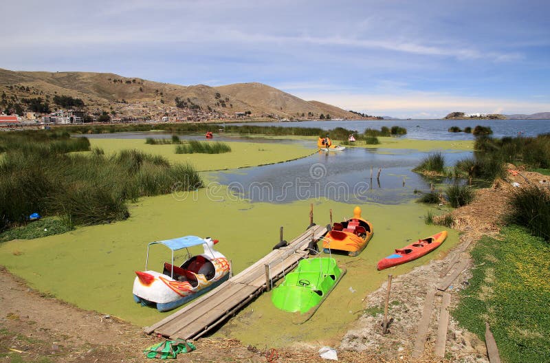 Duckweed w Zanieczyszczającym Jeziornym Titicaca wybrzeżu, Puno, Peru, Ameryka Południowa fotografia stock Duckweed w Zanieczyszczającym Jeziornym Titicaca wybrzeżu, Puno, Peru, Ameryka Południowa fotografia stock