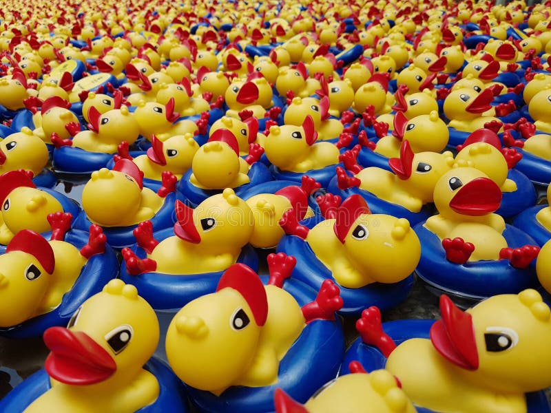 Ducky bath stock photo. Image of