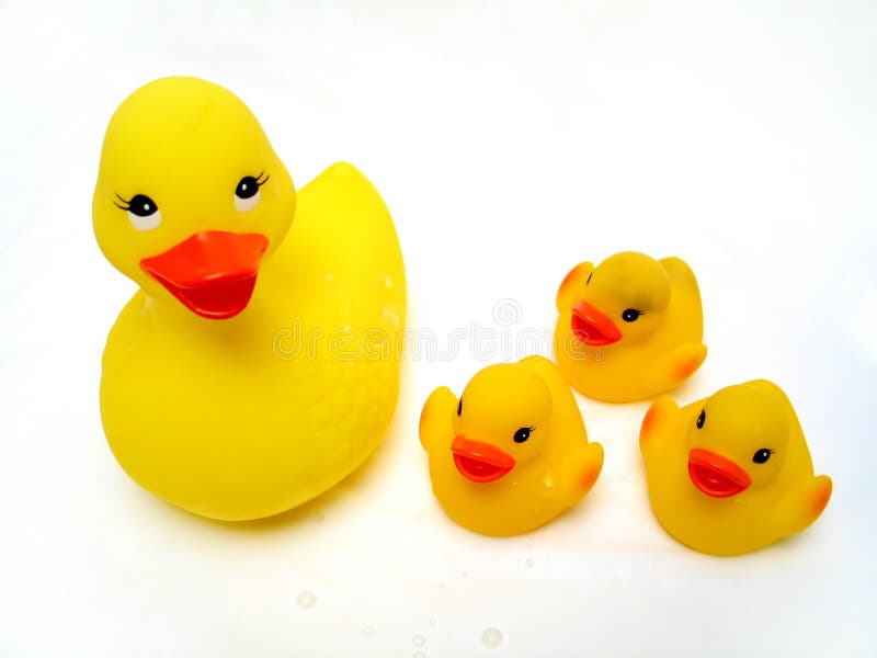 1 mommy duck and 3 small rubber duckies on a white background. Water drops visible. 1 mommy duck and 3 small rubber duckies on a white background. Water drops visible.