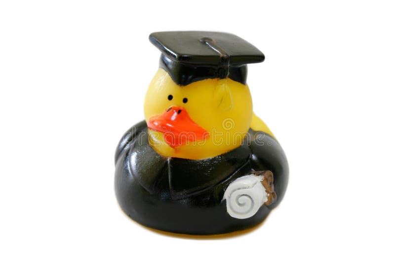 Rubber Ducky Graduating isolated on pure white background. Rubber Ducky Graduating isolated on pure white background