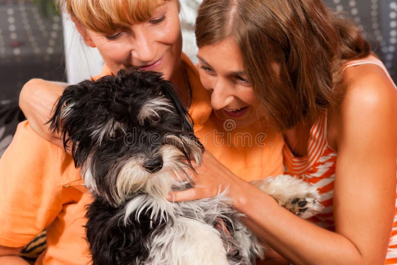 Donne Che Scopano Con Cane Due donne con il cane immagine stock. Immagine di donna - 18941329