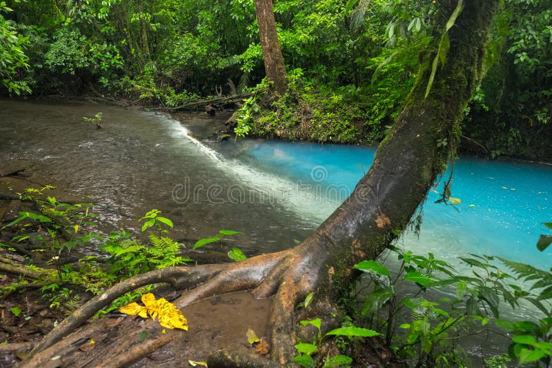 Due fiumi in Costa Rica immagini stock libere da diritti Due fiumi in Costa Rica immagini stock libere da diritti