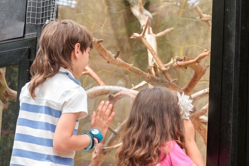 Two young adorable kids - boy and girl - having fun in zoo, animal park. Two young adorable kids - boy and girl - having fun in zoo, animal park