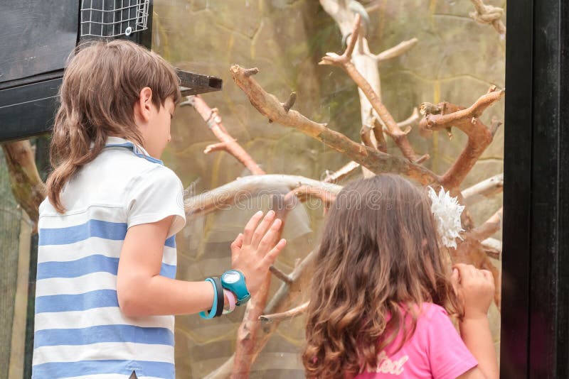 Two young adorable kids - boy and girl - having fun in zoo, animal park. Two young adorable kids - boy and girl - having fun in zoo, animal park