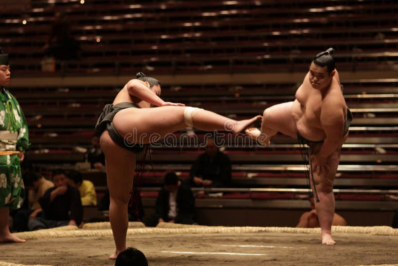 Due lottatori di sumo che ottengono pronti per una lotta Due lottatori di sumo che ottengono pronti per una lotta
