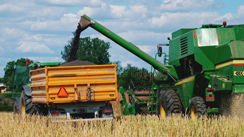 Due macchine agricole combinano mietitrebbiatrice e motrice con un rimorchio in piedi su un campo di raccolta. combinare