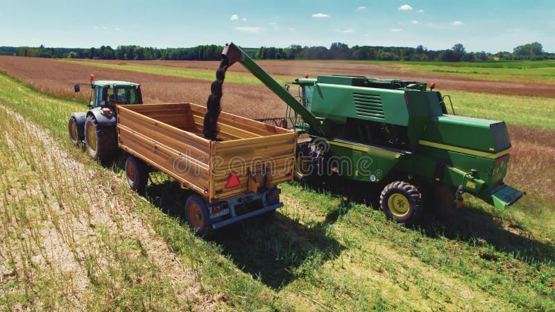 Due macchine agricole combinano mietitrebbiatrice e motrice con un rimorchio in piedi su un campo di raccolta. combinare