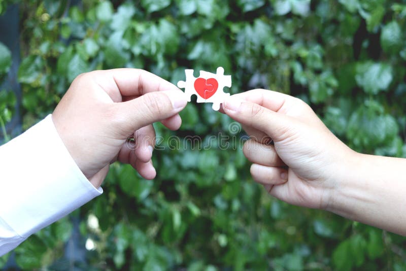 Due mani con due pezzi di rompicapo che formano un cuore rosso sulle foglie verdi un cuore di sfondo sfocato su pezzi di puzzle su immagini stock libere da diritti