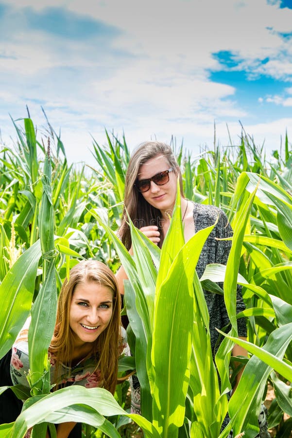 Due ragazze che si nascondono in un campo di mais verde