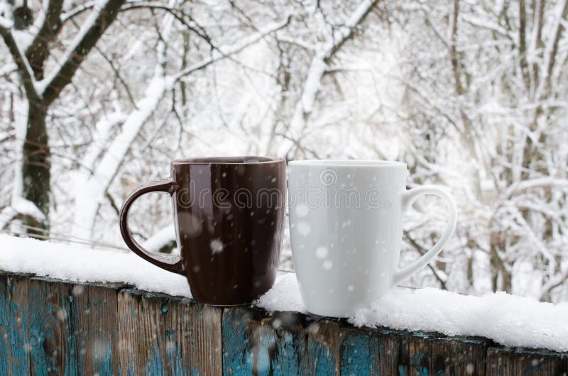 Thermos in acciaio e tazza di caffè in piedi sul muschio nella foresta come  è il momento di una pausa caffè all'aperto nella natura. Foto scattata in  Svezia Foto stock - Alamy