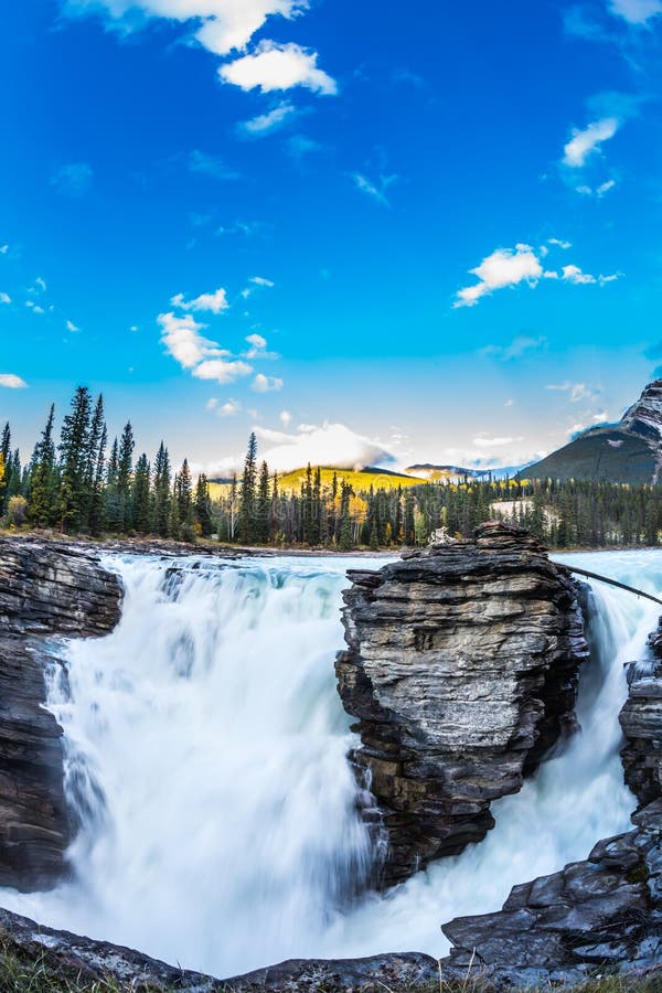 Duidelijke avond in Jasper National Park stock fotografie Duidelijke avond in Jasper National Park stock fotografie