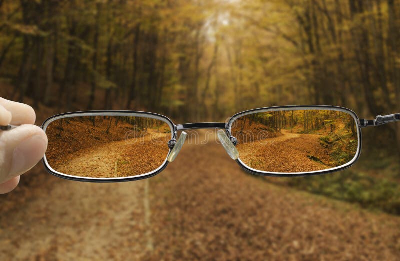 Duidelijke visie van een de herfst bosweg stock fotografie Duidelijke visie van een de herfst bosweg stock fotografie