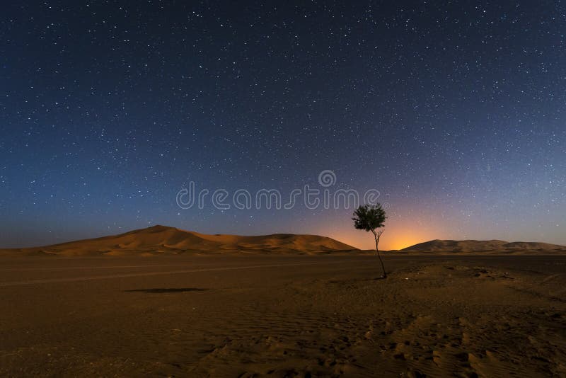 Duinen in Erg Chebbi in Marokko bij nacht met het hemelhoogtepunt van sterren royalty-vrije stock foto's Duinen in Erg Chebbi in Marokko bij nacht met het hemelhoogtepunt van sterren royalty-vrije stock foto's